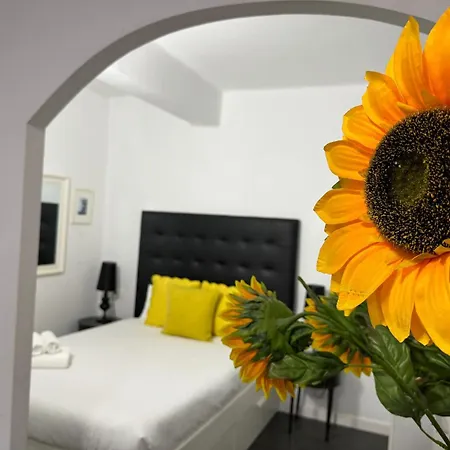 A 20 Pasos Del Museo Picasso Apartament