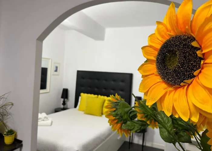 A 20 Pasos Del Museo Picasso By Planners Apartment